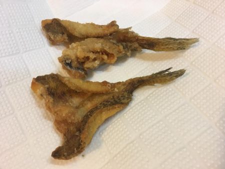 冬のフェリーターミナルにて