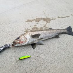 御天道様おはようございます。