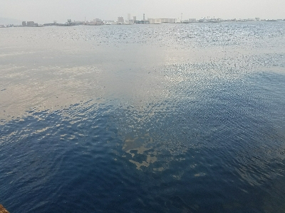 フグの攻撃！ワームが↓