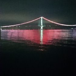 連日メバリング