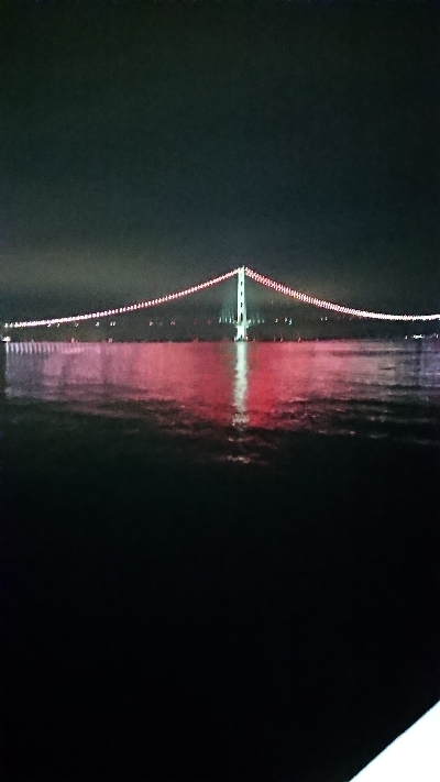 連日メバリング