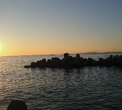 ライトルアーゲーム