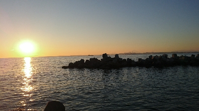 ライトルアーゲーム