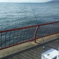 釣大会に参加しました