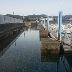 カサゴ ワームゲーム