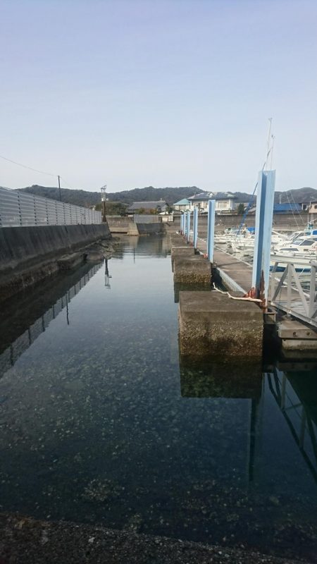 カサゴ ワームゲーム