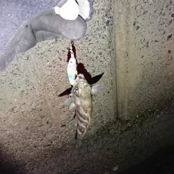 ラインセレクト