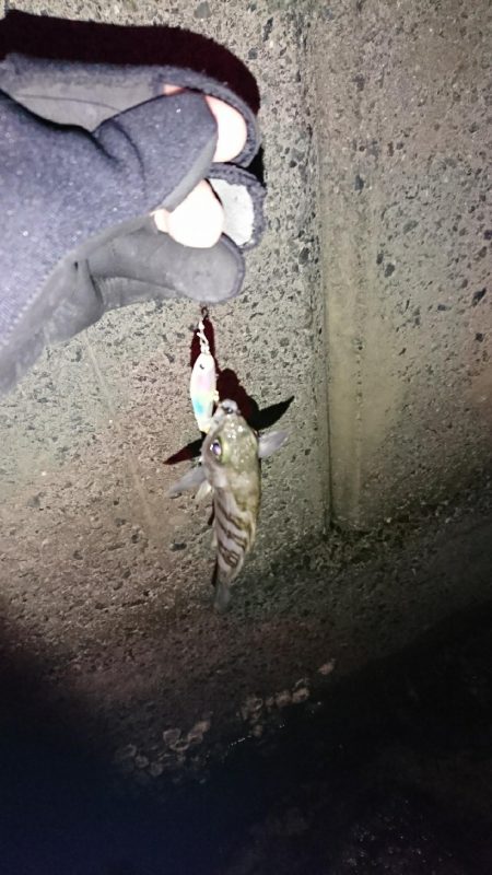 ラインセレクト