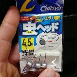 釣り部 釣行記 12