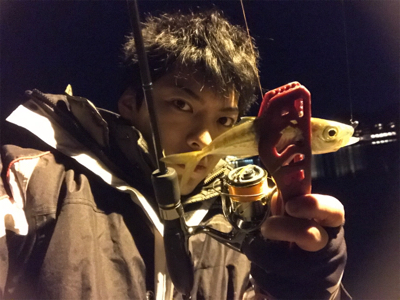 釣り納めアジング