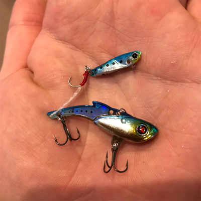 寒い以外はいい環境