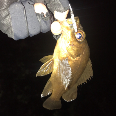 ウェーディングでメバリング