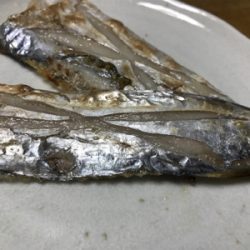 まさかのタチさん!!