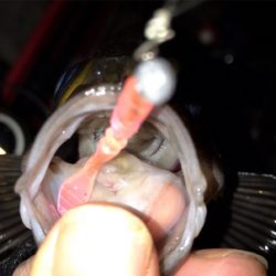 月が隠れたら、、