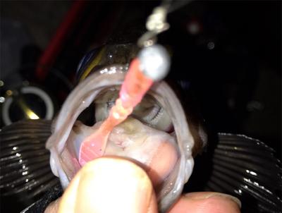 月が隠れたら、、