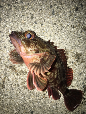 デイメバリング