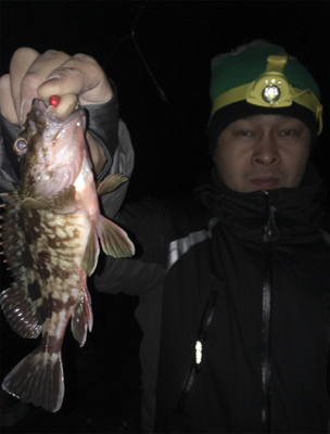 ナイトゲーム☆メバリング釣行♪