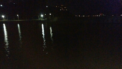 本年度初アジング