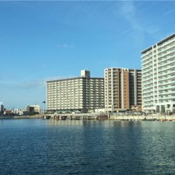 メバルいい感じ