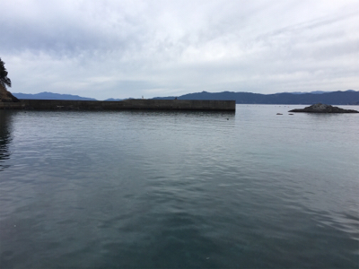 エギングでまさかの・・・