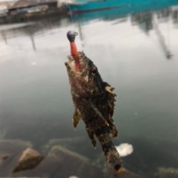 ディメバリング