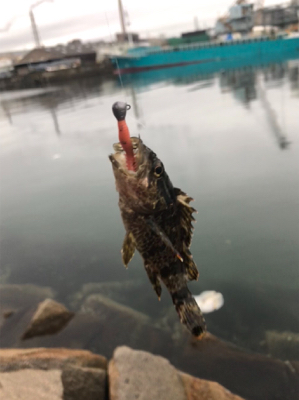 ディメバリング