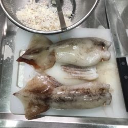 横須賀長井の光三丸さんでスルメイカ