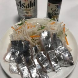 太刀魚 洲本沖