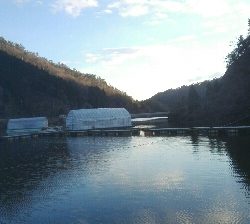 佐中ダム　ワカサギ釣り