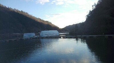 佐中ダム　ワカサギ釣り