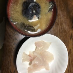 初投稿＆初タックル入魂(*n´ω`n*)