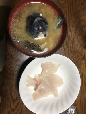 初投稿＆初タックル入魂(*n´ω`n*)