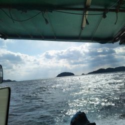 激風激波のち大物