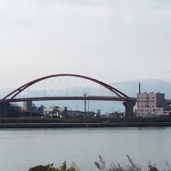 なんとかゲットしたけど。