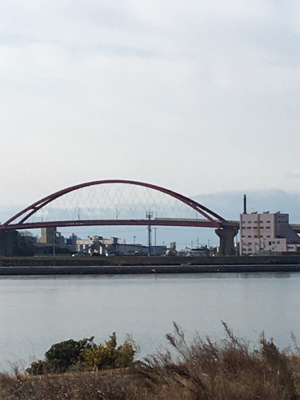 なんとかゲットしたけど。