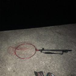 伊根〜舞鶴まで極寒ヤリイカランガンエギング