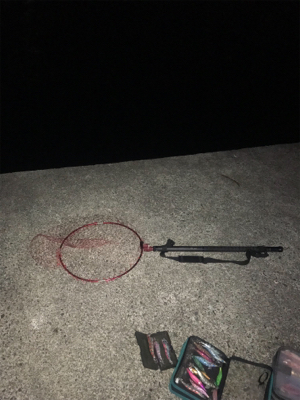 伊根〜舞鶴まで極寒ヤリイカランガンエギング