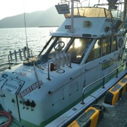 初釣りはイカメタル