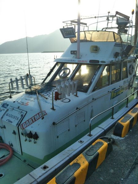 初釣りはイカメタル