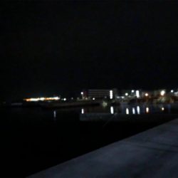 メバルとガシラ