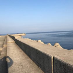 釣り日和だか…