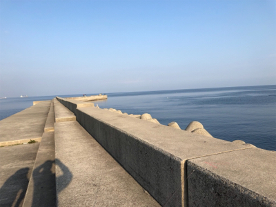 釣り日和だか…