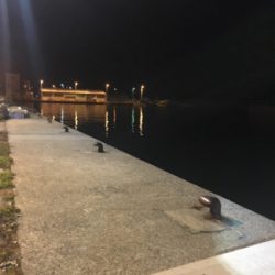 春のお告げはまだまだのようです