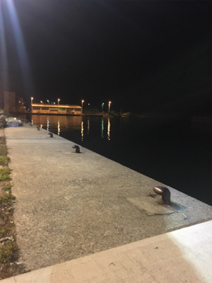 春のお告げはまだまだのようです