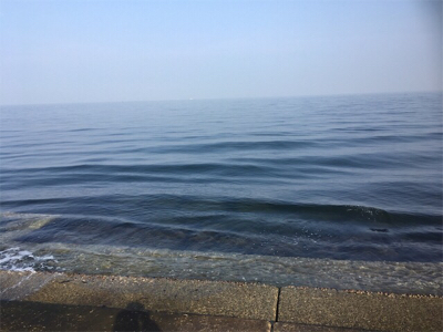 釣れたんだけどもね（苦笑）