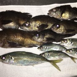 夕まづめライトゲーム