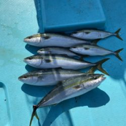 スロージギング