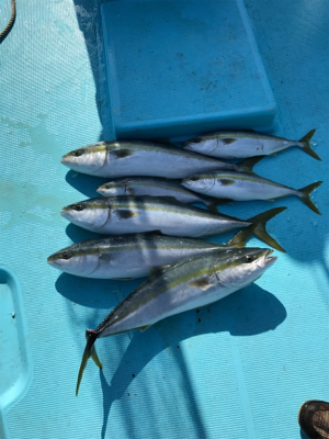 スロージギング