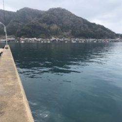 2018初フィッシュ