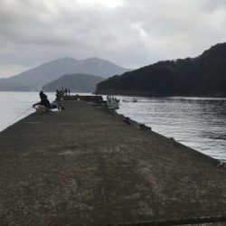 子ガッシー祭り